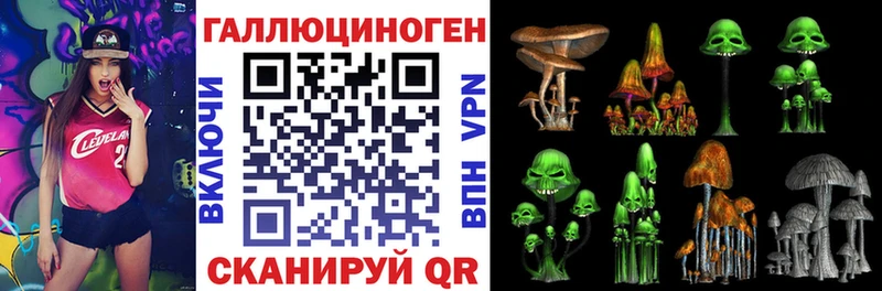 Галлюциногенные грибы MAGIC MUSHROOMS  Дзержинск 